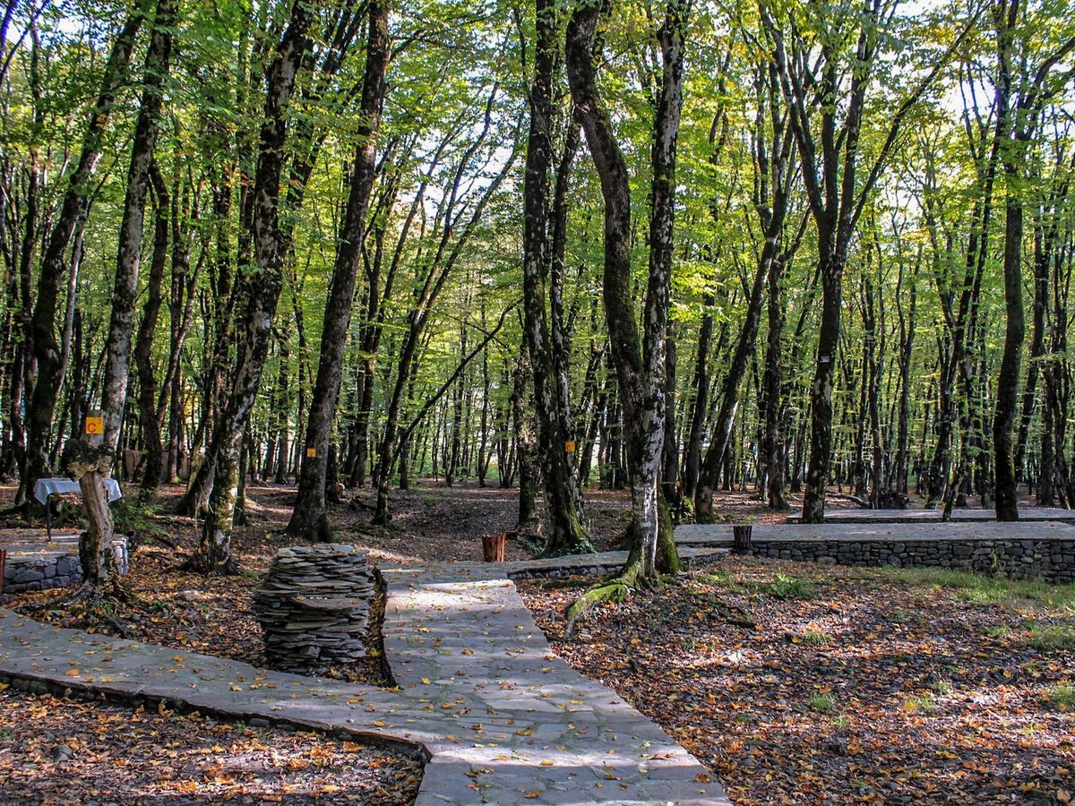 Azərbaycan meşələrində cığır